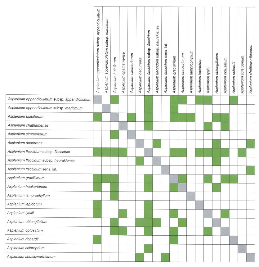 Flora of New Zealand | Taxon Profile | Asplenium